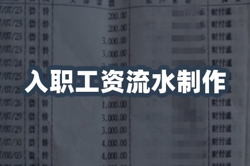 入职工资流水制作